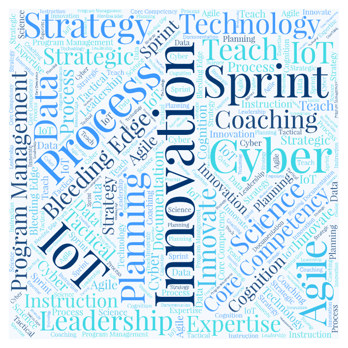 Word Cloud with Consulting Experience including Leadership, Innovation, Sprint, Process, Strategy, IoT and others